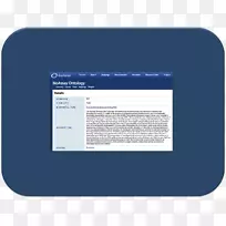 品牌字体设计-空若网 品牌字体设计-空若网