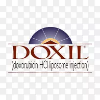 �̱갢ù��-���-������