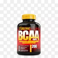 ֧����������ʳ�����-������