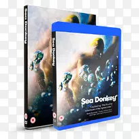 北爱尔兰驴苏格兰小玩意多媒体-空若网 北爱尔兰驴苏格兰小玩意多媒体-空若网