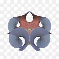 ��С������ѧ��������-����Գ�-������