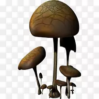 Ģ�������ƴ���������-Ģ��-������