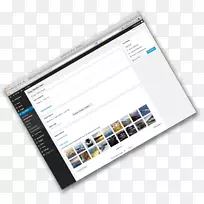 Ʒ������-����-������