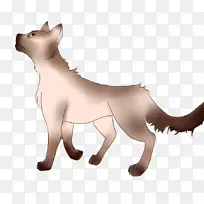 胡须猫狗繁殖鼻子猫-空若网 胡须猫狗繁殖鼻子猫-空若网