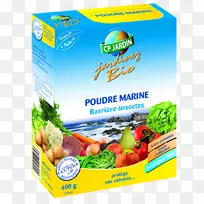 昆虫Rhagoletis cerasi苍蝇食物信息素陷阱-昆虫-空若网 昆虫Rhagoletis cerasi苍蝇食物信息素陷阱-昆虫-空若网