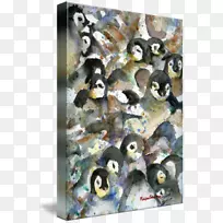 ���ˮ�ʻ��ͻ�����ˮ�ʻ�����-������