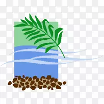 槟榔科叶植物茎秆剪贴画-澳大利亚景观-空若网 槟榔科叶植物茎秆剪贴画-澳大利亚景观-空若网