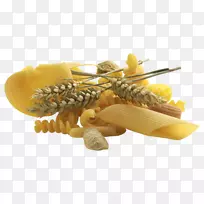 昆虫-空若网 昆虫-空若网