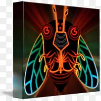 对称蝉-空若网 对称蝉-空若网