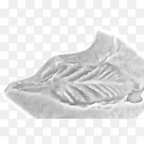 ����Ь-������