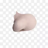 ��Ȯ��-��-������