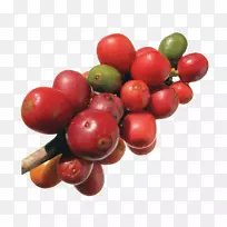 ���ɿ��Ⱥ춹���׿�����Ӣ�׽�������-����-������