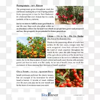 ��ʳ��ʯ�����-������