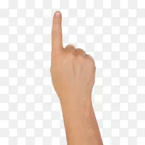 拇指手模型-手-空若网 拇指手模型-手-空若网