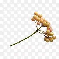 ˮ���ջ���-������