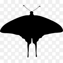 蝴蝶昆虫剪贴画-蝴蝶-空若网 蝴蝶昆虫剪贴画-蝴蝶-空若网