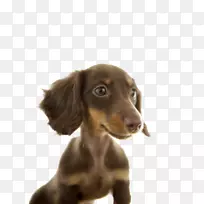 ���˹��������Ӱ����-�ɰ��Ĺ�-������