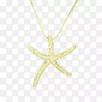 魅力和吊坠,海星项链,身体珠宝-金海星-空若网 魅力和吊坠,海星项链,身体珠宝-金海星-空若网