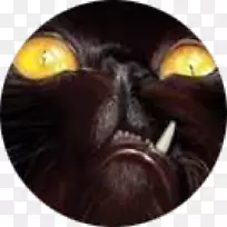 La braserie des tchets crl flhimont电子邮件春季电话号码-Pilon-空若网 La braserie des tchets crl flhimont电子邮件春季电话号码-Pilon-空若网