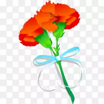 ����ܰ-��ɫ�д�����-������