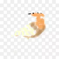 犬科犬鼻子桌面壁纸喙狗-空若网 犬科犬鼻子桌面壁纸喙狗-空若网