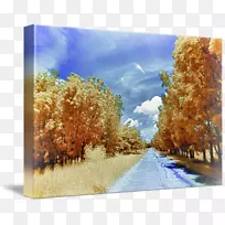 ˮ�ʻ����컭-������