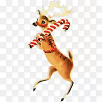 ѱ¹�����Ұ������ѱ¹-������