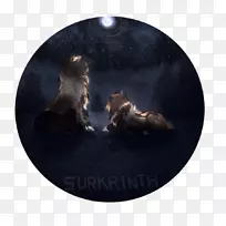 ʥ��װ��Ʒ����-ʥ����-������