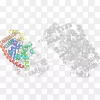 直线点线-空若网 直线点线-空若网