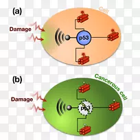 材料字体设计-空若网 材料字体设计-空若网