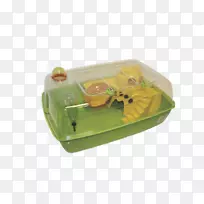 ������С����-������