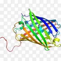直线点蔬菜有机体剪贴画线-空若网 直线点蔬菜有机体剪贴画线-空若网