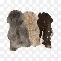 毛鼻-羊皮-空若网 毛鼻-羊皮-空若网