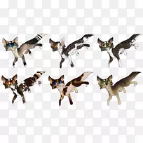 猫狗科动物尾猫-空若网 猫狗科动物尾猫-空若网