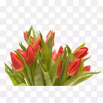 Óô½ðÏ㻨»ÜÉè¼ÆÇл¨»¨Êø-¿ÕÈôÍø Óô½ðÏ㻨»ÜÉè¼ÆÇл¨»¨Êø-¿ÕÈôÍø