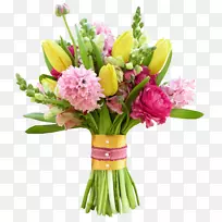 ����-����PNG-������