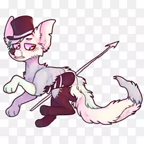 猫科动物-猫-空若网 猫科动物-猫-空若网