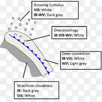 手指文件卡通动物-夏季图案-空若网 手指文件卡通动物-夏季图案-空若网