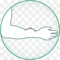 鼻子笑脸下巴线条剪贴画鼻子-空若网 鼻子笑脸下巴线条剪贴画鼻子-空若网