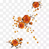 ����ͼ�����ͼ��-÷��-������