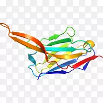 线点剪贴画-线-空若网 线点剪贴画-线-空若网