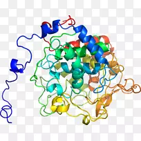 �����鱦���л����������-������