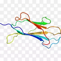 线条艺术点有机体剪贴画线-空若网 线条艺术点有机体剪贴画线-空若网