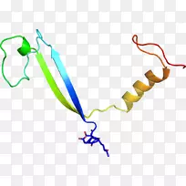 ֱ�ߵ�Ҷ��������-������