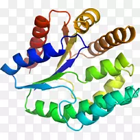 人体首饰有机体线剪贴画线-空若网 人体首饰有机体线剪贴画线-空若网