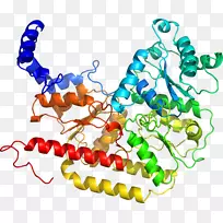 人体珠宝有机体剪贴画.珠宝-空若网 人体珠宝有机体剪贴画.珠宝-空若网