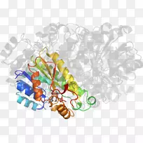 树木剪贴画-树-空若网 树木剪贴画-树-空若网