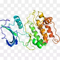线点生物剪贴画线-空若网 线点生物剪贴画线-空若网
