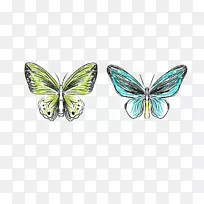 蝴蝶水彩画-水彩画蝴蝶-空若网 蝴蝶水彩画-水彩画蝴蝶-空若网