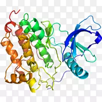 ���������л����߼�������-������